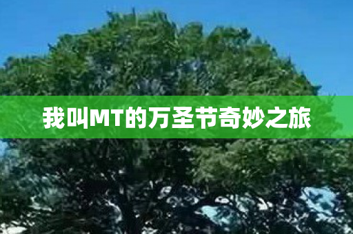 我叫MT的万圣节奇妙之旅