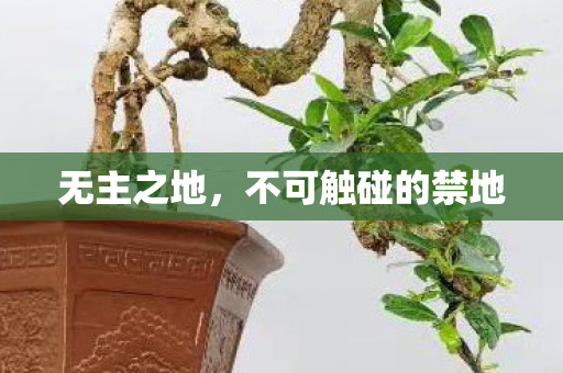 无主之地，不可触碰的禁地