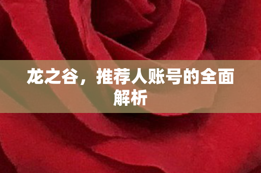 龙之谷，推荐人账号的全面解析