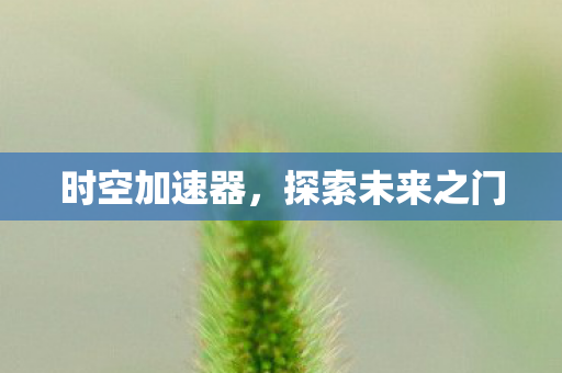 时空加速器，探索未来之门