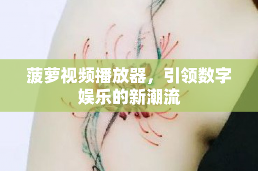 菠萝视频播放器，引领数字娱乐的新潮流