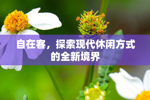 自在客，探索现代休闲方式的全新境界