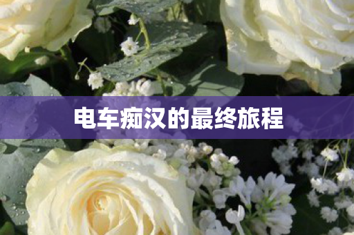 电车痴汉的最终旅程