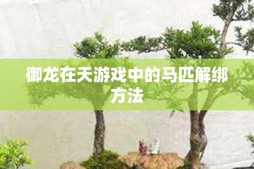 御龙在天游戏中的马匹解绑方法