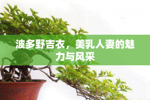 波多野吉衣，美乳人妻的魅力与风采