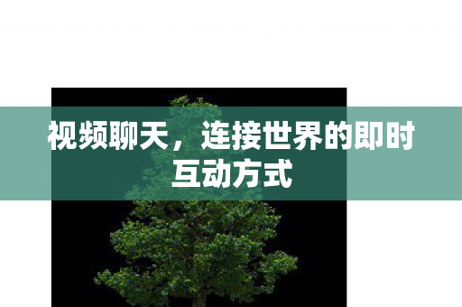 视频聊天，连接世界的即时互动方式