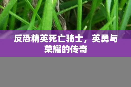 反恐精英死亡骑士，英勇与荣耀的传奇