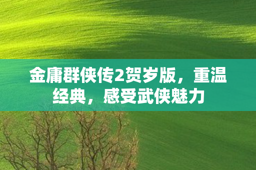 金庸群侠传2贺岁版，重温经典，感受武侠魅力