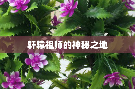 轩辕祖师的神秘之地