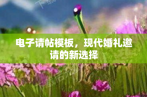 电子请帖模板，现代婚礼邀请的新选择