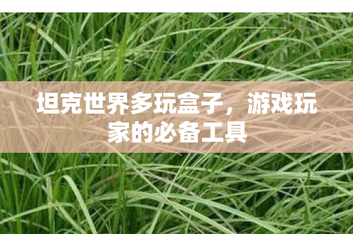 坦克世界多玩盒子，游戏玩家的必备工具