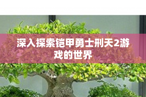 深入探索铠甲勇士刑天2游戏的世界