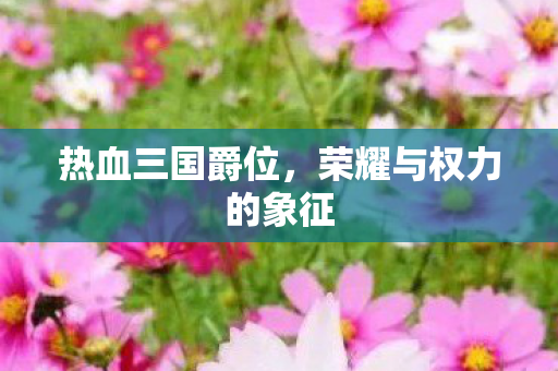 热血三国爵位，荣耀与权力的象征