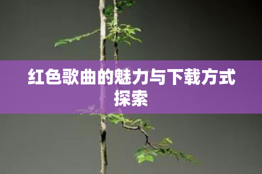 红色歌曲的魅力与下载方式探索