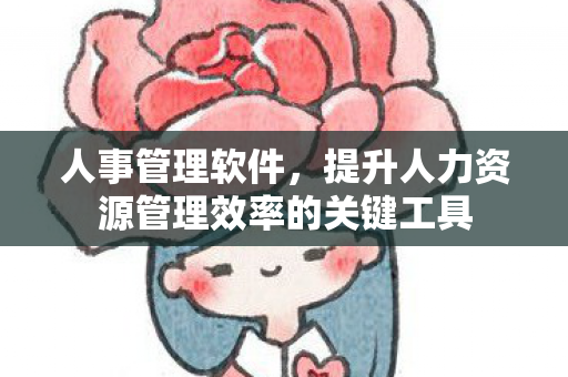 人事管理软件，提升人力资源管理效率的关键工具