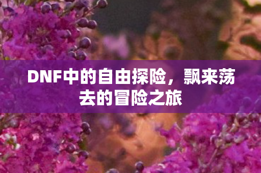 DNF中的自由探险，飘来荡去的冒险之旅