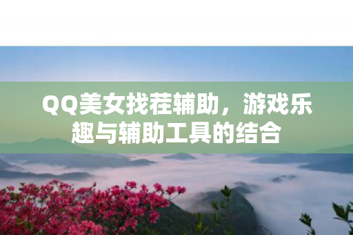 QQ美女找茬辅助，游戏乐趣与辅助工具的结合