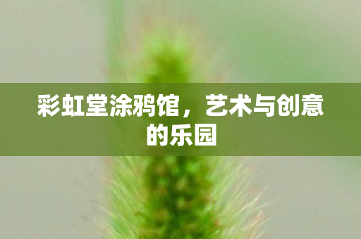 彩虹堂涂鸦馆，艺术与创意的乐园