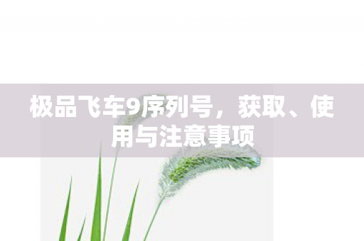 极品飞车9序列号，获取、使用与注意事项