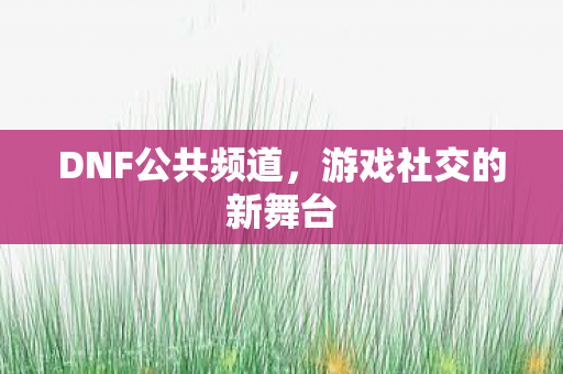 DNF公共频道，游戏社交的新舞台