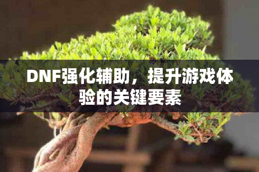 DNF强化辅助，提升游戏体验的关键要素