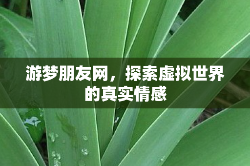 游梦朋友网，探索虚拟世界的真实情感