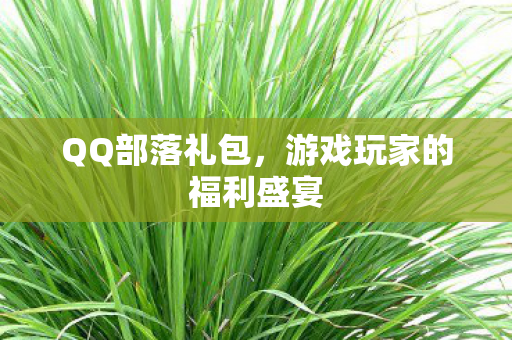 QQ部落礼包，游戏玩家的福利盛宴