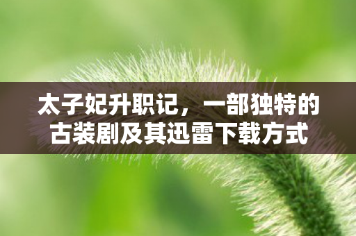 太子妃升职记，一部独特的古装剧及其迅雷下载方式