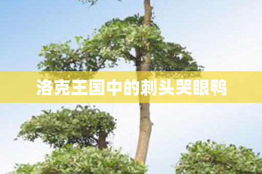 洛克王国中的刺头哭眼鸭