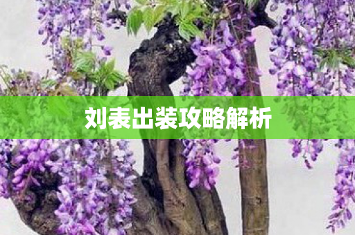 刘表出装攻略解析