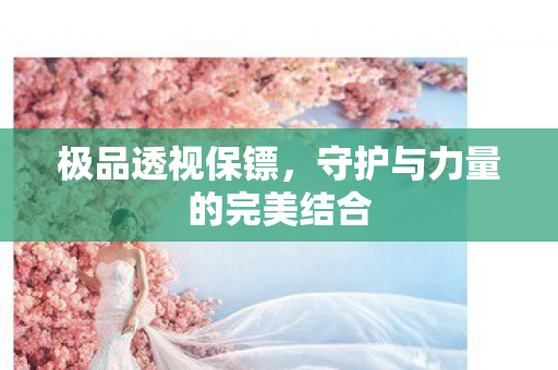 极品透视保镖，守护与力量的完美结合