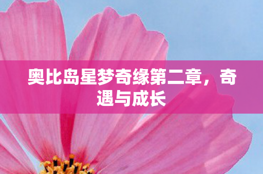 奥比岛星梦奇缘第二章，奇遇与成长