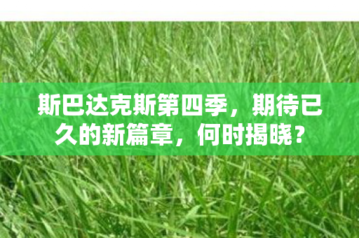 斯巴达克斯第四季，期待已久的新篇章，何时揭晓？