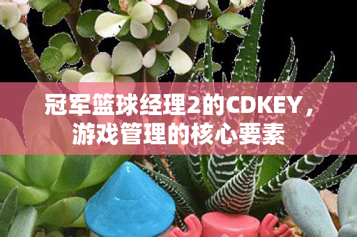 冠军篮球经理2的CDKEY，游戏管理的核心要素