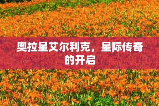 奥拉星艾尔利克，星际传奇的开启