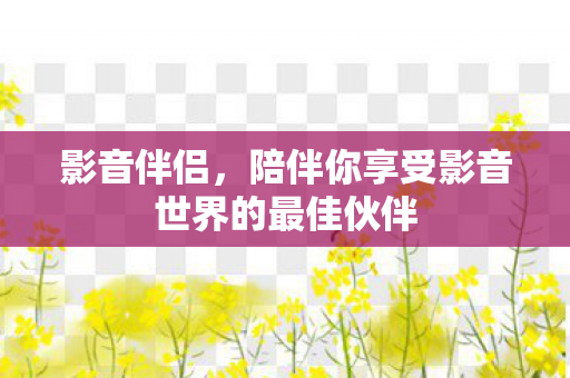 影音伴侣，陪伴你享受影音世界的最佳伙伴