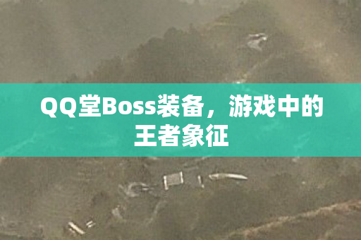 QQ堂Boss装备，游戏中的王者象征
