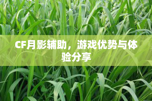 CF月影辅助，游戏优势与体验分享