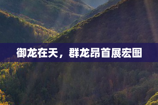 御龙在天，群龙昂首展宏图