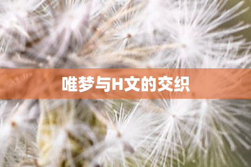 唯梦与H文的交织
