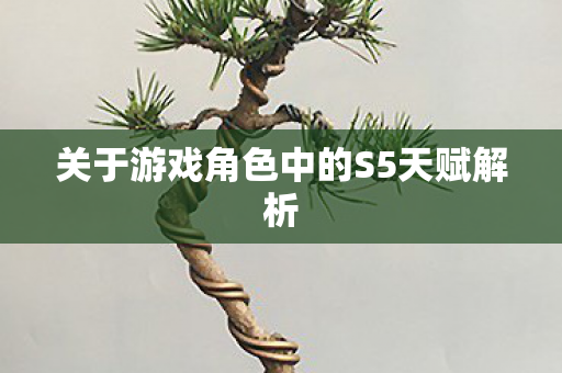 关于游戏角色中的S5天赋解析
