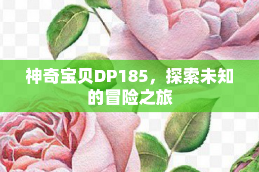 神奇宝贝DP185，探索未知的冒险之旅