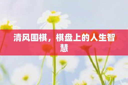 清风围棋，棋盘上的人生智慧