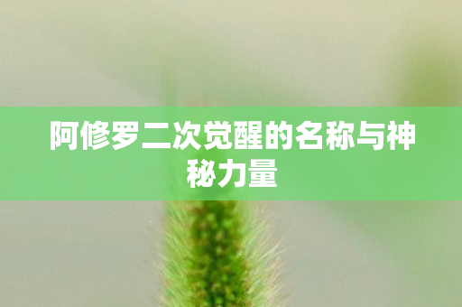 阿修罗二次觉醒的名称与神秘力量