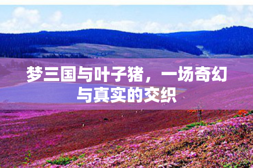 梦三国与叶子猪，一场奇幻与真实的交织