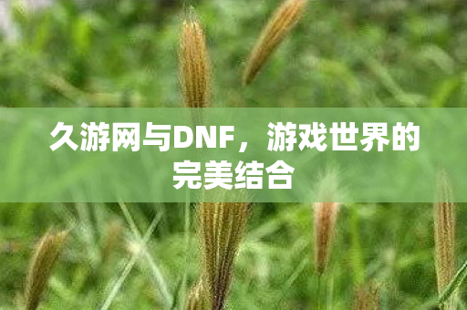 久游网与DNF，游戏世界的完美结合