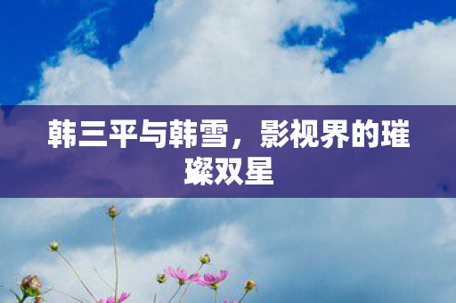 韩三平与韩雪，影视界的璀璨双星