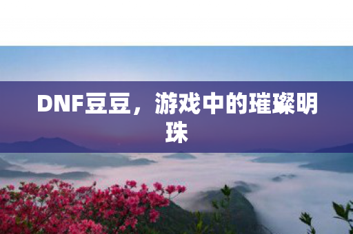 DNF豆豆，游戏中的璀璨明珠