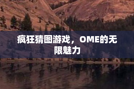 疯狂猜图游戏，OME的无限魅力