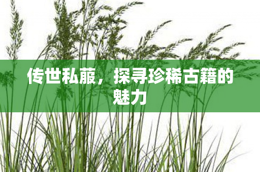 传世私菔，探寻珍稀古籍的魅力